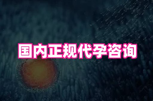 swisee孕网 1
