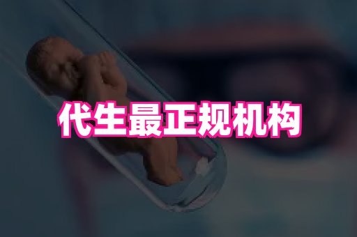swisee孕网 3