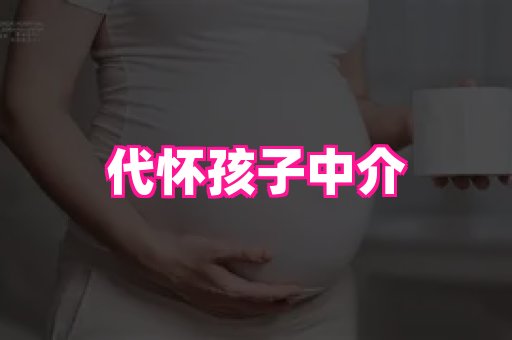 swisee孕网 4